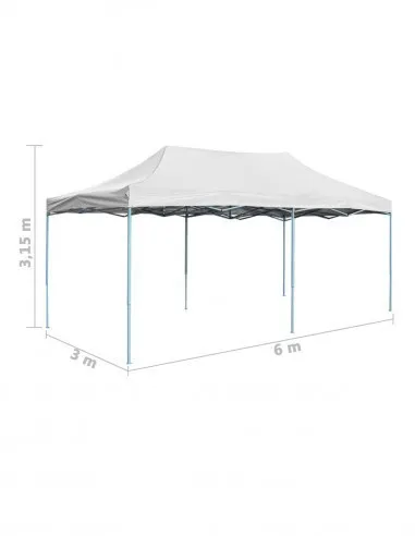 Cort Pliabil Gradina Acordeon 3x6m