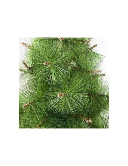 suport plastic red-mag.ro