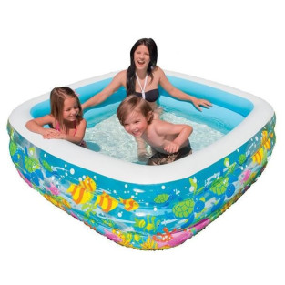 Piscina Aquarium 2