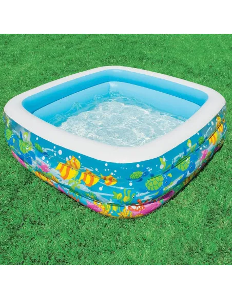Piscina Aquarium