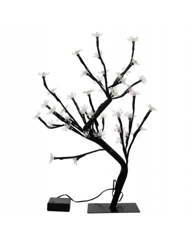 Blossom Bonsai