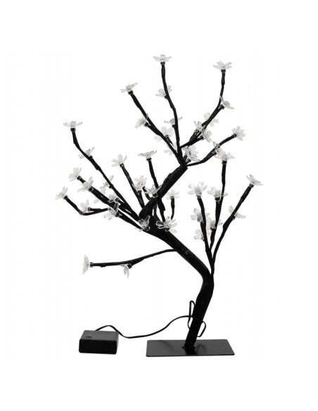 Blossom Bonsai