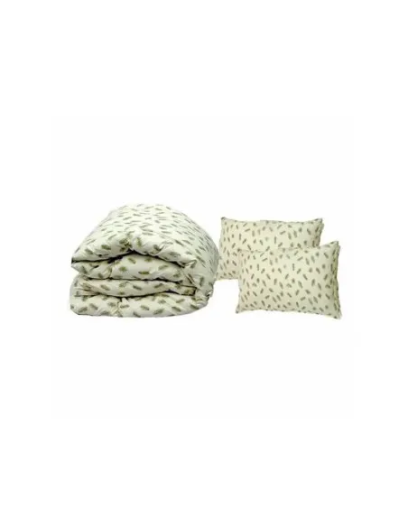 Set din puf de gasca: Pilota 200 x 230 cm + 2