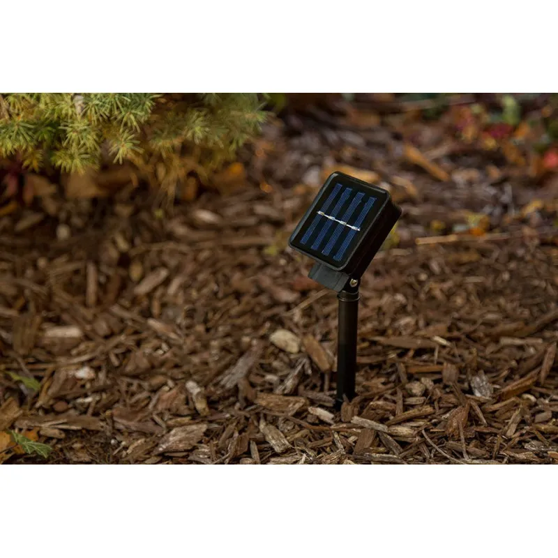 10m 50 LED