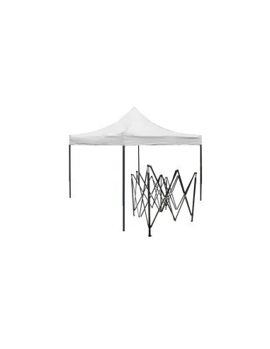 Cort Pliabil Gradina Acordeon 3x6m