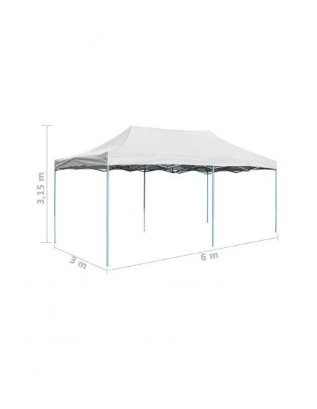 Cort Pliabil Gradina Acordeon 3x6m