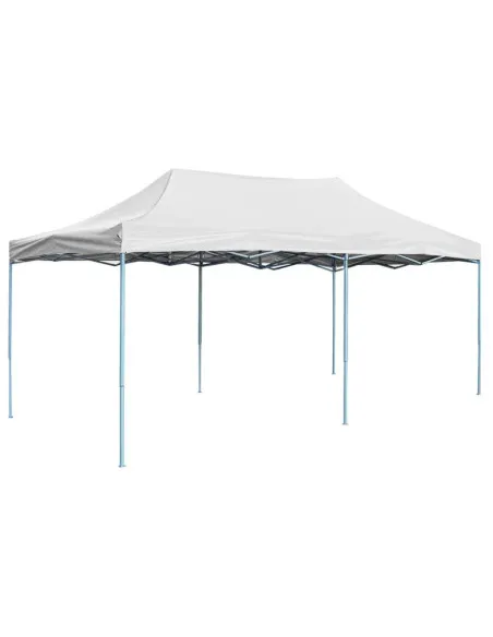 Cort Pliabil Gradina Acordeon 3x6m