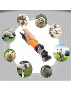 Masina de tuns oi electrica profesionala 850W, 6 trepte de 2