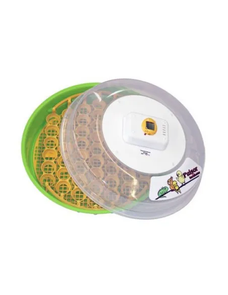 Incubator de oua Puisor EXTRA, IO-203, regulator
