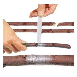 Banda transparenta pentru altoit, 100 m x 3 cm 2