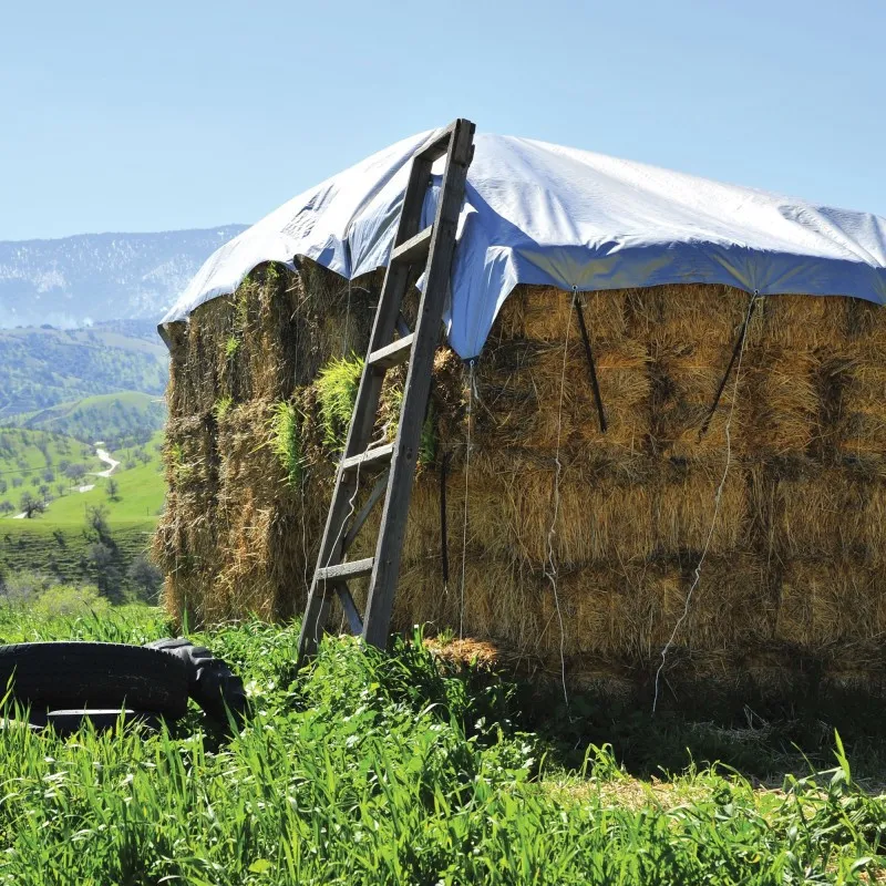 PRELATA CU INELE 80 G/MP, 8x12 M, ALBASTRU