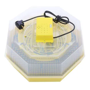 Incubator Cleo5 electric pentru oua incalzire