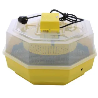 Incubator Cleo5 electric pentru oua incalzire 2
