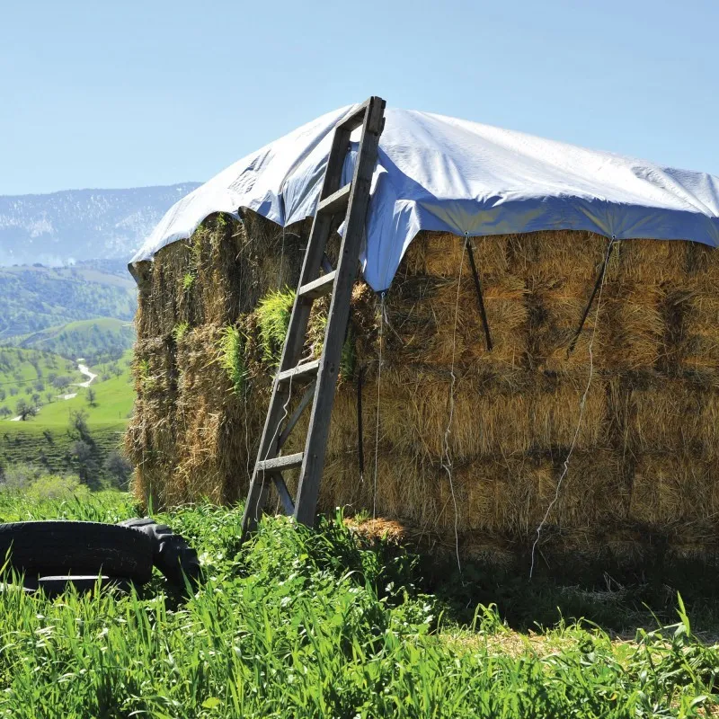 PRELATA CU INELE 6 X 8 M - 80 G/MP- ALBASTRU