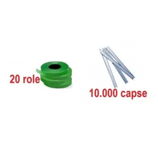 20 de role + 10,000 capse