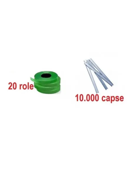 20 de role + 10,000 capse