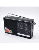Radio portabil cu difuzor incorporat LT-317LW