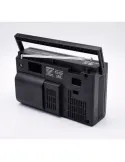 Radio portabil cu difuzor incorporat LT-317LW