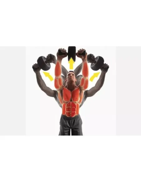 Roata Fitness pentru abdomene cu sistem de