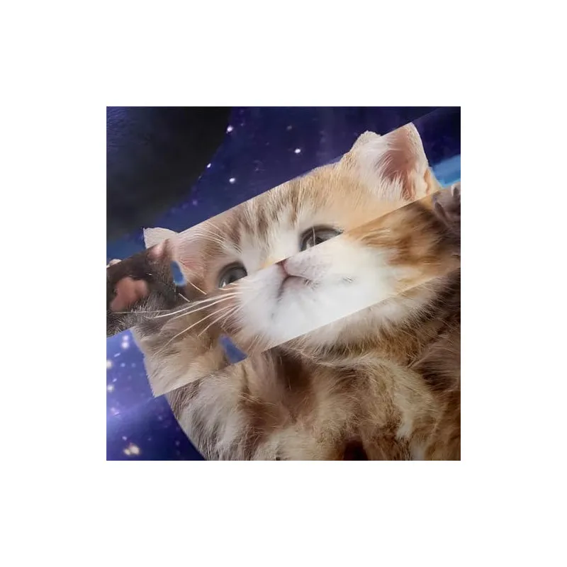 Set Lenjerie Pat Cosmic Cat ZAHHYG 135×200 cm Microfibră