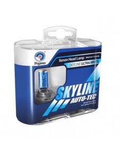 Set 2 becuri Pegasus Skyline Xenon Look auto-tec halogen H4 2